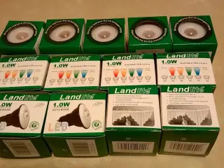 LED pærer i Warmwhite