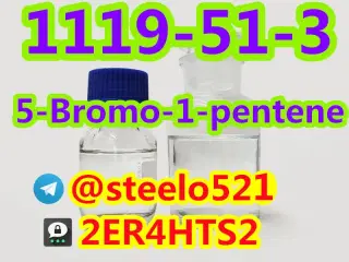 High Quality 5-Bromo-1-pentene CAS 1119-51-3