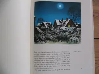 Ib Andersen, 2 bøger