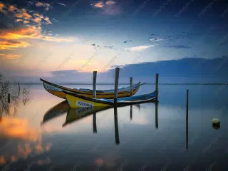 The boats
