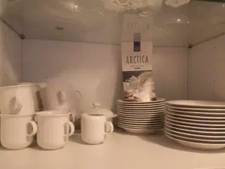 Arctica kaffestel