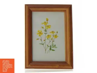 Indrammet billede med blomstermotiv (str. 19 x 14 cm)