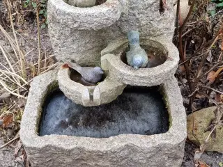 Granit vandfald med fugle