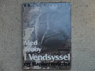 Kunstvejviser: Med BROBY i