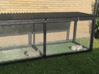Græsningsgård til kaniner