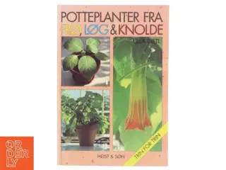 Potteplanter fra frø, løg & knolde af Ulla Dietl (Bog)