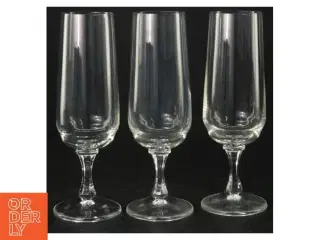 Champagneglas  (3 stk) (str. 16,5 cm)