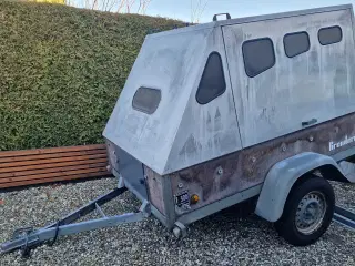 Cargotrailer m. Aluoverbygning