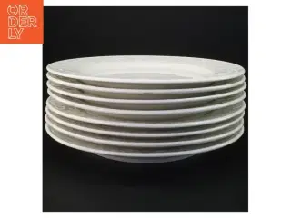 Hvide middagstallerkener med dekorativ kant (str. Diameter 26 cm)