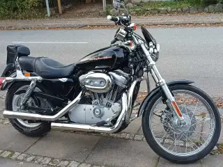 HD XL883C Sportster Custom