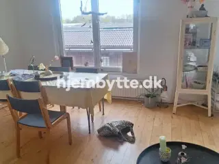 Hjembytte - Muskathaven