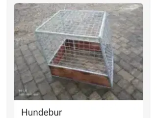 Hundebur