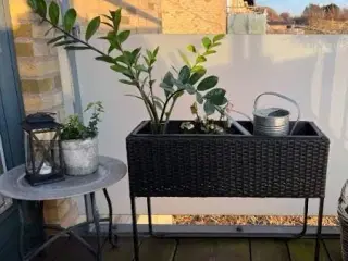DACORE Plantekasse m. ben polyrattan flet 60x20x50