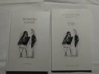 Homers Iliade + ledsager