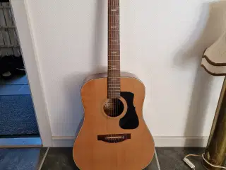 Guitar Santana