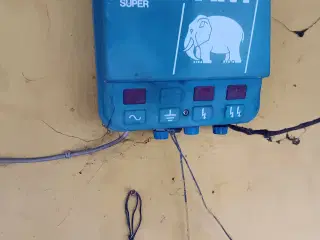 Elefant El-hegn til kreaturer