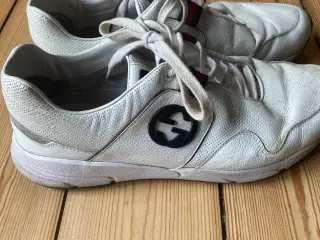Gucci sneakes