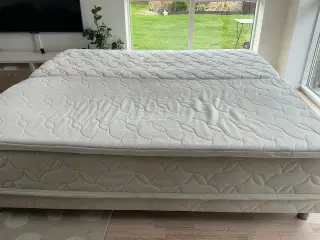 Dunlopillo dobbeltseng. 1200 kr