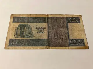 5 Pounds Egypt