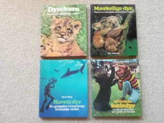 4 Esso samlebøger fra 1971, 1972, 1972 og 1973