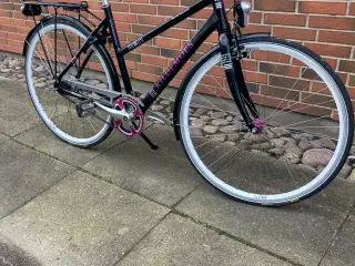 Cykel kildemoes