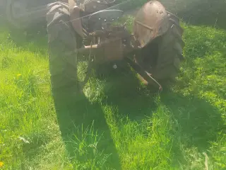  Ferguson 31