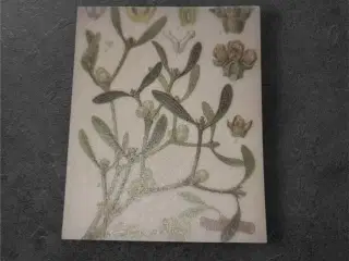 Papirark med botanisk motiv af bær og grønne blade