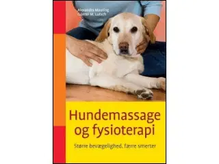 Hundemassage og fysioterapi