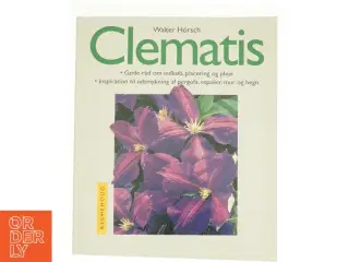 Clematis (Bog)