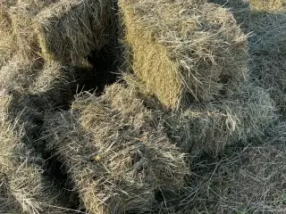Hø