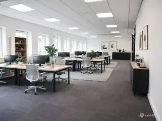 Nyd din frokost i orangeriet med udsigt til naturen