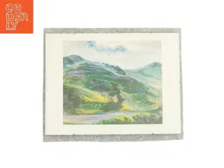 Billedet i glasramme (str. LB: 40 x 30 cm)