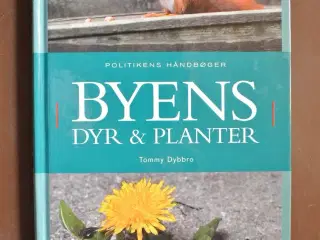 byens dyr og planter, Af tommy dybbro, emne: natur