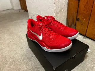 Kobe 8 ProTro