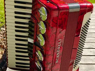SCANDALLI  harmonika 