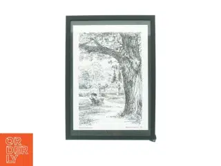Billedramme med tegning fra Aldershvileparken (str. 32 x 23 cm)