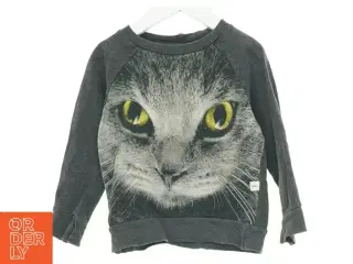 Sweatshirt med kattemotiv fra Molo (str. 98 cm)