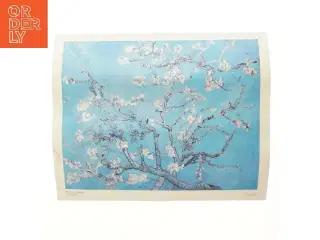 Van Gogh 'Almond Blossom' plakat (str. 49,5x60 cm)