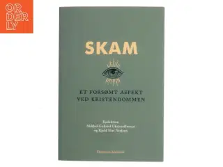 Skam : et forsømt aspekt ved kristendommen (Bog)