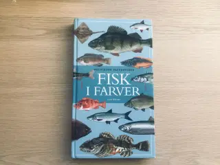 Fisk i farver  -  Lars Nielsen