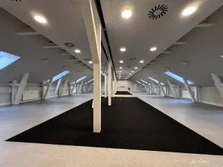 Showroom med eksklusiv beliggenhed i hjertet af Frederiksstaden