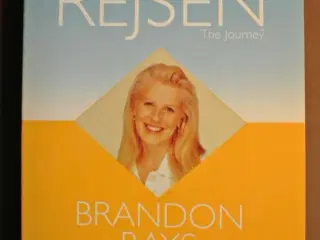 rejsen - en usædvanlig vejledning, af brandon bays