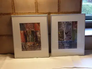 GRATIS Billeder SE flere fotos