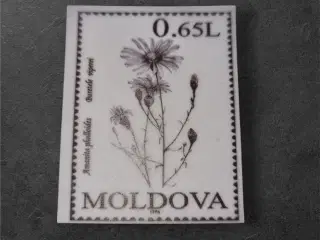 Naturinspireret papir til kreative projekter