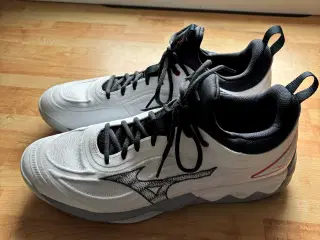 Nye Mizuno sportssko