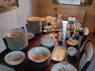 Kaktus stel mange dele.