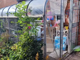 🌿 Drivhus gratis mod nedtagning 🌿