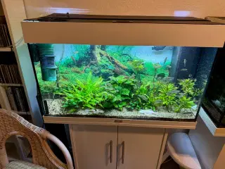 Juwel Akvarie 140 ltr.