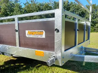Neptun Trailwood 253-1 GN115