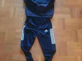 Adidas træningdragt junior